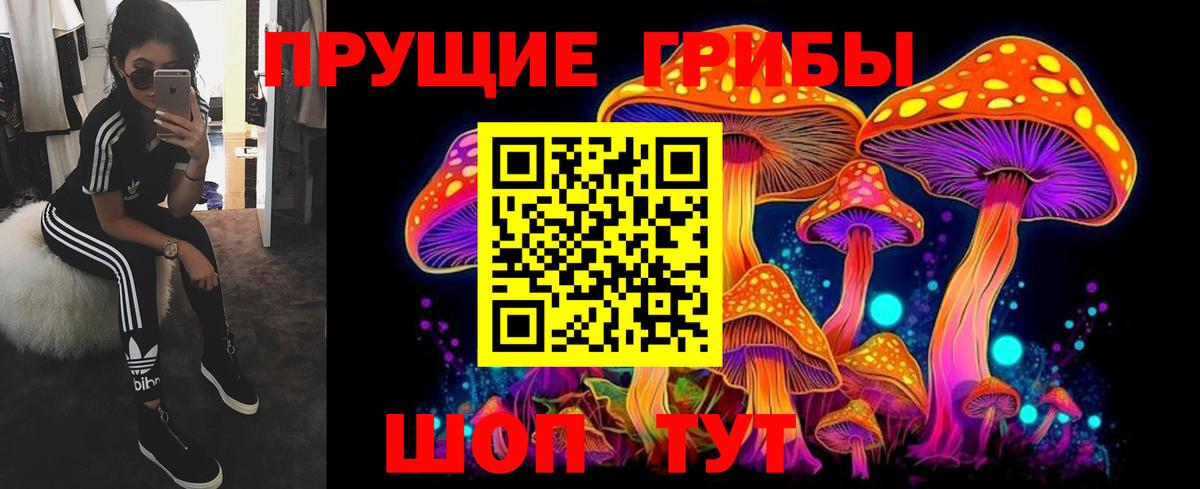Псилоцибиновые грибы Psilocybe  Вход с VPN  Нерюнгри  Псилоцибиновые грибы Psilocybine cubensis 